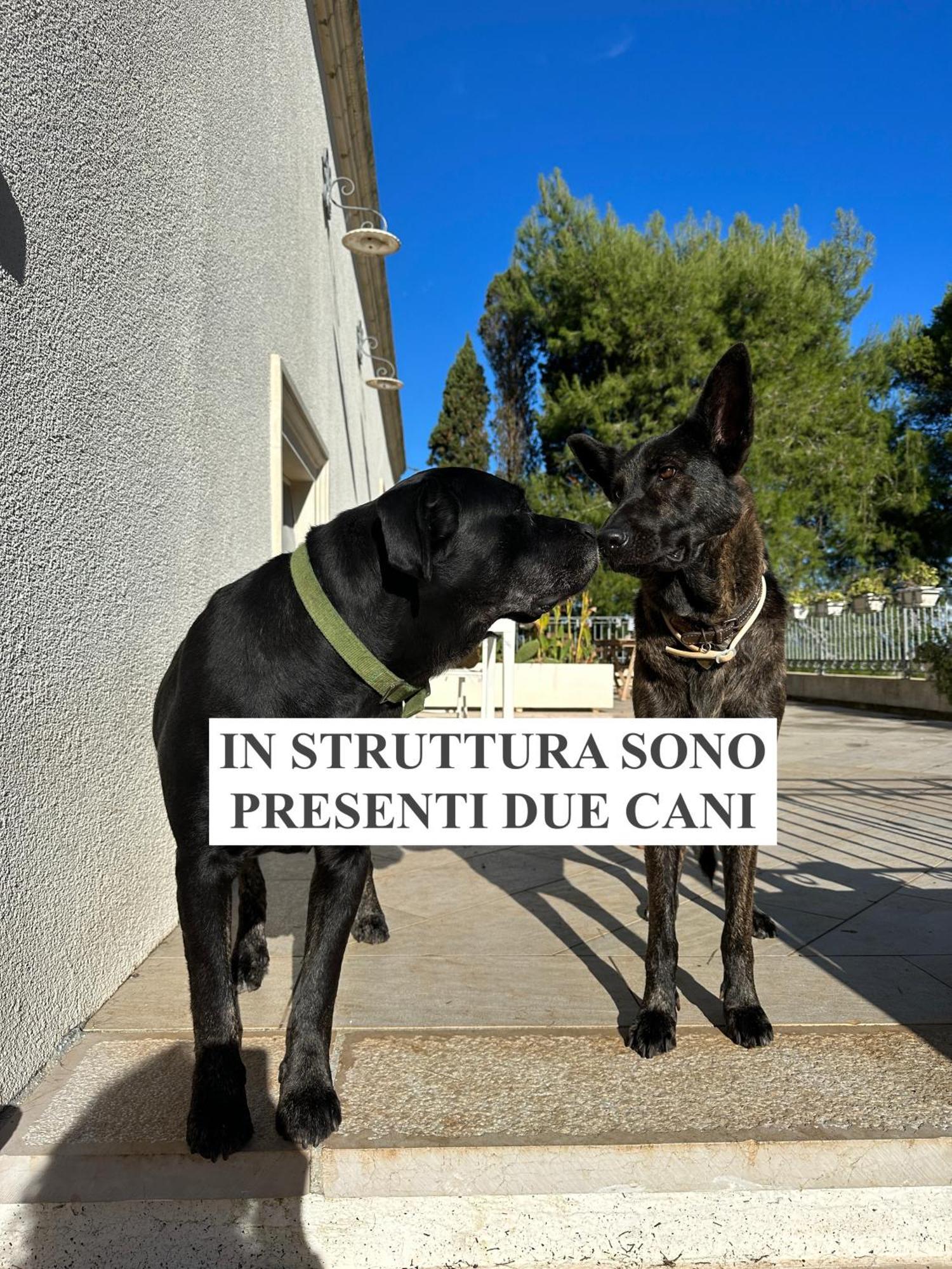 Aparthotel La Dimora Di Ulisse Santa Cesarea Terme Zewnętrze zdjęcie